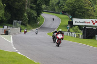 cadwell-no-limits-trackday;cadwell-park;cadwell-park-photographs;cadwell-trackday-photographs;enduro-digital-images;event-digital-images;eventdigitalimages;no-limits-trackdays;peter-wileman-photography;racing-digital-images;trackday-digital-images;trackday-photos