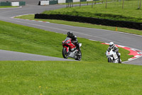 cadwell-no-limits-trackday;cadwell-park;cadwell-park-photographs;cadwell-trackday-photographs;enduro-digital-images;event-digital-images;eventdigitalimages;no-limits-trackdays;peter-wileman-photography;racing-digital-images;trackday-digital-images;trackday-photos