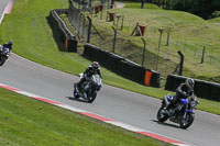 brands-hatch-photographs;brands-no-limits-trackday;cadwell-trackday-photographs;enduro-digital-images;event-digital-images;eventdigitalimages;no-limits-trackdays;peter-wileman-photography;racing-digital-images;trackday-digital-images;trackday-photos