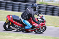 anglesey-no-limits-trackday;anglesey-photographs;anglesey-trackday-photographs;enduro-digital-images;event-digital-images;eventdigitalimages;no-limits-trackdays;peter-wileman-photography;racing-digital-images;trac-mon;trackday-digital-images;trackday-photos;ty-croes