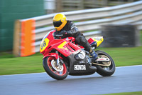 anglesey;brands-hatch;cadwell-park;croft;donington-park;enduro-digital-images;event-digital-images;eventdigitalimages;mallory;no-limits;oulton-park;peter-wileman-photography;racing-digital-images;silverstone;snetterton;trackday-digital-images;trackday-photos;vmcc-banbury-run;welsh-2-day-enduro