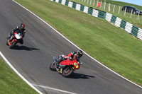 cadwell-no-limits-trackday;cadwell-park;cadwell-park-photographs;cadwell-trackday-photographs;enduro-digital-images;event-digital-images;eventdigitalimages;no-limits-trackdays;peter-wileman-photography;racing-digital-images;trackday-digital-images;trackday-photos