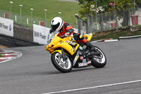 brands-hatch-photographs;brands-no-limits-trackday;cadwell-trackday-photographs;enduro-digital-images;event-digital-images;eventdigitalimages;no-limits-trackdays;peter-wileman-photography;racing-digital-images;trackday-digital-images;trackday-photos