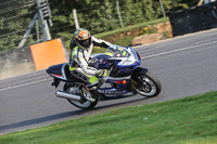 brands-hatch-photographs;brands-no-limits-trackday;cadwell-trackday-photographs;enduro-digital-images;event-digital-images;eventdigitalimages;no-limits-trackdays;peter-wileman-photography;racing-digital-images;trackday-digital-images;trackday-photos