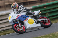 enduro-digital-images;event-digital-images;eventdigitalimages;mallory-park;mallory-park-photographs;mallory-park-trackday;mallory-park-trackday-photographs;no-limits-trackdays;peter-wileman-photography;racing-digital-images;trackday-digital-images;trackday-photos