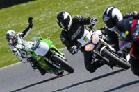 brands-hatch-photographs;brands-no-limits-trackday;cadwell-trackday-photographs;enduro-digital-images;event-digital-images;eventdigitalimages;no-limits-trackdays;peter-wileman-photography;racing-digital-images;trackday-digital-images;trackday-photos