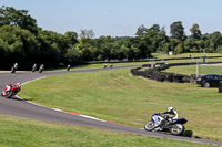 Fast Blue/White Bikes