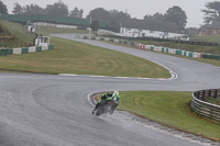 Fast Group Green/Yellow Bikes