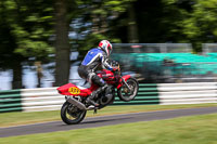 cadwell-no-limits-trackday;cadwell-park;cadwell-park-photographs;cadwell-trackday-photographs;enduro-digital-images;event-digital-images;eventdigitalimages;no-limits-trackdays;peter-wileman-photography;racing-digital-images;trackday-digital-images;trackday-photos