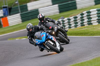 cadwell-no-limits-trackday;cadwell-park;cadwell-park-photographs;cadwell-trackday-photographs;enduro-digital-images;event-digital-images;eventdigitalimages;no-limits-trackdays;peter-wileman-photography;racing-digital-images;trackday-digital-images;trackday-photos