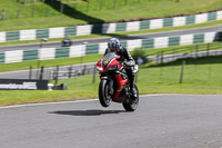 cadwell-no-limits-trackday;cadwell-park;cadwell-park-photographs;cadwell-trackday-photographs;enduro-digital-images;event-digital-images;eventdigitalimages;no-limits-trackdays;peter-wileman-photography;racing-digital-images;trackday-digital-images;trackday-photos