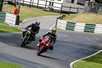 cadwell-no-limits-trackday;cadwell-park;cadwell-park-photographs;cadwell-trackday-photographs;enduro-digital-images;event-digital-images;eventdigitalimages;no-limits-trackdays;peter-wileman-photography;racing-digital-images;trackday-digital-images;trackday-photos