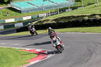 cadwell-no-limits-trackday;cadwell-park;cadwell-park-photographs;cadwell-trackday-photographs;enduro-digital-images;event-digital-images;eventdigitalimages;no-limits-trackdays;peter-wileman-photography;racing-digital-images;trackday-digital-images;trackday-photos