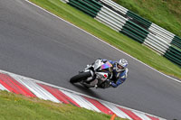 cadwell-no-limits-trackday;cadwell-park;cadwell-park-photographs;cadwell-trackday-photographs;enduro-digital-images;event-digital-images;eventdigitalimages;no-limits-trackdays;peter-wileman-photography;racing-digital-images;trackday-digital-images;trackday-photos