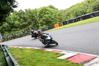 cadwell-no-limits-trackday;cadwell-park;cadwell-park-photographs;cadwell-trackday-photographs;enduro-digital-images;event-digital-images;eventdigitalimages;no-limits-trackdays;peter-wileman-photography;racing-digital-images;trackday-digital-images;trackday-photos