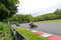 cadwell-no-limits-trackday;cadwell-park;cadwell-park-photographs;cadwell-trackday-photographs;enduro-digital-images;event-digital-images;eventdigitalimages;no-limits-trackdays;peter-wileman-photography;racing-digital-images;trackday-digital-images;trackday-photos