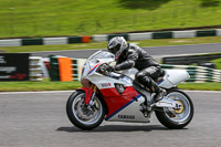 cadwell-no-limits-trackday;cadwell-park;cadwell-park-photographs;cadwell-trackday-photographs;enduro-digital-images;event-digital-images;eventdigitalimages;no-limits-trackdays;peter-wileman-photography;racing-digital-images;trackday-digital-images;trackday-photos