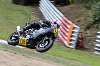 brands-hatch-photographs;brands-no-limits-trackday;cadwell-trackday-photographs;enduro-digital-images;event-digital-images;eventdigitalimages;no-limits-trackdays;peter-wileman-photography;racing-digital-images;trackday-digital-images;trackday-photos