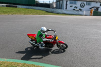 enduro-digital-images;event-digital-images;eventdigitalimages;mallory-park;mallory-park-photographs;mallory-park-trackday;mallory-park-trackday-photographs;no-limits-trackdays;peter-wileman-photography;racing-digital-images;trackday-digital-images;trackday-photos