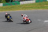 enduro-digital-images;event-digital-images;eventdigitalimages;mallory-park;mallory-park-photographs;mallory-park-trackday;mallory-park-trackday-photographs;no-limits-trackdays;peter-wileman-photography;racing-digital-images;trackday-digital-images;trackday-photos