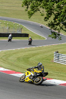 Fast Group Green/Yellow Bikes