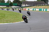 enduro-digital-images;event-digital-images;eventdigitalimages;mallory-park;mallory-park-photographs;mallory-park-trackday;mallory-park-trackday-photographs;no-limits-trackdays;peter-wileman-photography;racing-digital-images;trackday-digital-images;trackday-photos