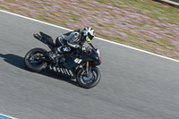 28th-to-30th-march-2015;Jerez;event-digital-images;motorbikes;no-limits;peter-wileman-photography;trackday;trackday-digital-images