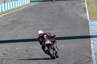 28th-to-30th-march-2015;Jerez;event-digital-images;motorbikes;no-limits;peter-wileman-photography;trackday;trackday-digital-images