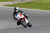 brands-hatch-photographs;brands-no-limits-trackday;cadwell-trackday-photographs;enduro-digital-images;event-digital-images;eventdigitalimages;no-limits-trackdays;peter-wileman-photography;racing-digital-images;trackday-digital-images;trackday-photos