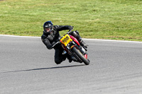 brands-hatch-photographs;brands-no-limits-trackday;cadwell-trackday-photographs;enduro-digital-images;event-digital-images;eventdigitalimages;no-limits-trackdays;peter-wileman-photography;racing-digital-images;trackday-digital-images;trackday-photos