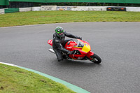 enduro-digital-images;event-digital-images;eventdigitalimages;mallory-park;mallory-park-photographs;mallory-park-trackday;mallory-park-trackday-photographs;no-limits-trackdays;peter-wileman-photography;racing-digital-images;trackday-digital-images;trackday-photos