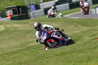 cadwell-no-limits-trackday;cadwell-park;cadwell-park-photographs;cadwell-trackday-photographs;enduro-digital-images;event-digital-images;eventdigitalimages;no-limits-trackdays;peter-wileman-photography;racing-digital-images;trackday-digital-images;trackday-photos