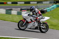 cadwell-no-limits-trackday;cadwell-park;cadwell-park-photographs;cadwell-trackday-photographs;enduro-digital-images;event-digital-images;eventdigitalimages;no-limits-trackdays;peter-wileman-photography;racing-digital-images;trackday-digital-images;trackday-photos