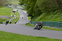 cadwell-no-limits-trackday;cadwell-park;cadwell-park-photographs;cadwell-trackday-photographs;enduro-digital-images;event-digital-images;eventdigitalimages;no-limits-trackdays;peter-wileman-photography;racing-digital-images;trackday-digital-images;trackday-photos