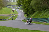 cadwell-no-limits-trackday;cadwell-park;cadwell-park-photographs;cadwell-trackday-photographs;enduro-digital-images;event-digital-images;eventdigitalimages;no-limits-trackdays;peter-wileman-photography;racing-digital-images;trackday-digital-images;trackday-photos