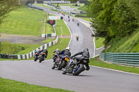 cadwell-no-limits-trackday;cadwell-park;cadwell-park-photographs;cadwell-trackday-photographs;enduro-digital-images;event-digital-images;eventdigitalimages;no-limits-trackdays;peter-wileman-photography;racing-digital-images;trackday-digital-images;trackday-photos