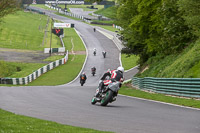 cadwell-no-limits-trackday;cadwell-park;cadwell-park-photographs;cadwell-trackday-photographs;enduro-digital-images;event-digital-images;eventdigitalimages;no-limits-trackdays;peter-wileman-photography;racing-digital-images;trackday-digital-images;trackday-photos