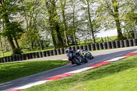 cadwell-no-limits-trackday;cadwell-park;cadwell-park-photographs;cadwell-trackday-photographs;enduro-digital-images;event-digital-images;eventdigitalimages;no-limits-trackdays;peter-wileman-photography;racing-digital-images;trackday-digital-images;trackday-photos