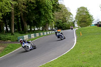 cadwell-no-limits-trackday;cadwell-park;cadwell-park-photographs;cadwell-trackday-photographs;enduro-digital-images;event-digital-images;eventdigitalimages;no-limits-trackdays;peter-wileman-photography;racing-digital-images;trackday-digital-images;trackday-photos