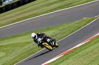 cadwell-no-limits-trackday;cadwell-park;cadwell-park-photographs;cadwell-trackday-photographs;enduro-digital-images;event-digital-images;eventdigitalimages;no-limits-trackdays;peter-wileman-photography;racing-digital-images;trackday-digital-images;trackday-photos