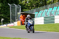 cadwell-no-limits-trackday;cadwell-park;cadwell-park-photographs;cadwell-trackday-photographs;enduro-digital-images;event-digital-images;eventdigitalimages;no-limits-trackdays;peter-wileman-photography;racing-digital-images;trackday-digital-images;trackday-photos