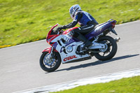 anglesey-no-limits-trackday;anglesey-photographs;anglesey-trackday-photographs;enduro-digital-images;event-digital-images;eventdigitalimages;no-limits-trackdays;peter-wileman-photography;racing-digital-images;trac-mon;trackday-digital-images;trackday-photos;ty-croes