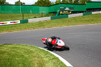 enduro-digital-images;event-digital-images;eventdigitalimages;mallory-park;mallory-park-photographs;mallory-park-trackday;mallory-park-trackday-photographs;no-limits-trackdays;peter-wileman-photography;racing-digital-images;trackday-digital-images;trackday-photos