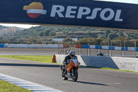 14-to-16th-november-2015;Jerez;event-digital-images;motorbikes;no-limits;peter-wileman-photography;trackday;trackday-digital-images