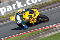 anglesey;brands-hatch;cadwell-park;croft;donington-park;enduro-digital-images;event-digital-images;eventdigitalimages;mallory;no-limits;oulton-park;peter-wileman-photography;racing-digital-images;silverstone;snetterton;trackday-digital-images;trackday-photos;vmcc-banbury-run;welsh-2-day-enduro