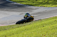 anglesey;brands-hatch;cadwell-park;croft;donington-park;enduro-digital-images;event-digital-images;eventdigitalimages;mallory;no-limits;oulton-park;peter-wileman-photography;racing-digital-images;silverstone;snetterton;trackday-digital-images;trackday-photos;vmcc-banbury-run;welsh-2-day-enduro