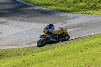 anglesey;brands-hatch;cadwell-park;croft;donington-park;enduro-digital-images;event-digital-images;eventdigitalimages;mallory;no-limits;oulton-park;peter-wileman-photography;racing-digital-images;silverstone;snetterton;trackday-digital-images;trackday-photos;vmcc-banbury-run;welsh-2-day-enduro