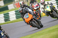 cadwell-no-limits-trackday;cadwell-park;cadwell-park-photographs;cadwell-trackday-photographs;enduro-digital-images;event-digital-images;eventdigitalimages;no-limits-trackdays;peter-wileman-photography;racing-digital-images;trackday-digital-images;trackday-photos