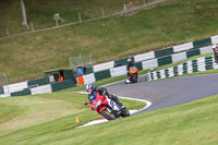 cadwell-no-limits-trackday;cadwell-park;cadwell-park-photographs;cadwell-trackday-photographs;enduro-digital-images;event-digital-images;eventdigitalimages;no-limits-trackdays;peter-wileman-photography;racing-digital-images;trackday-digital-images;trackday-photos