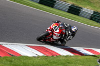 cadwell-no-limits-trackday;cadwell-park;cadwell-park-photographs;cadwell-trackday-photographs;enduro-digital-images;event-digital-images;eventdigitalimages;no-limits-trackdays;peter-wileman-photography;racing-digital-images;trackday-digital-images;trackday-photos